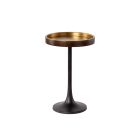 Sunpan Tekoa End Table in Bronze