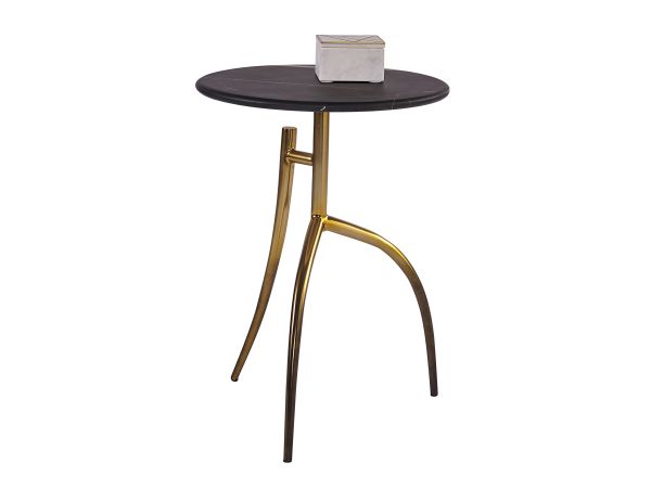 Sunpan Trent End Table in Gold